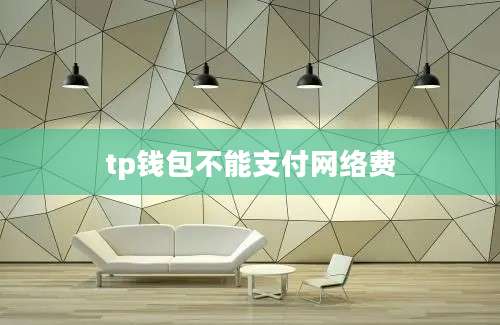 tp钱包不能支付网络费