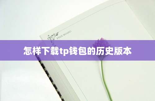 怎样下载tp钱包的历史版本