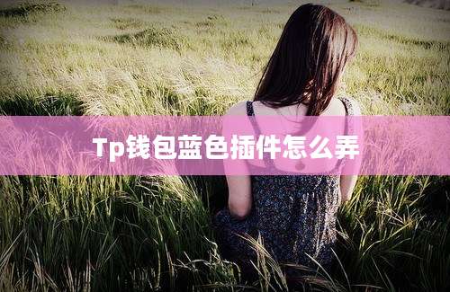 Tp钱包蓝色插件怎么弄