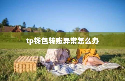 tp钱包转账异常怎么办