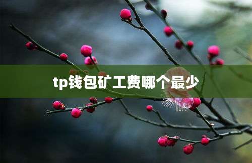 tp钱包矿工费哪个最少