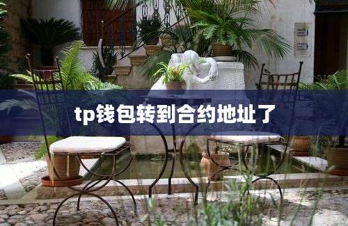 tp钱包转到合约地址了
