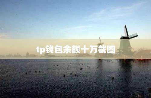 tp钱包余额十万截图