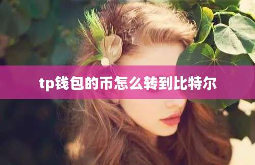 tp钱包的币怎么转到比特尔