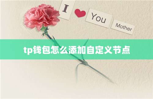 tp钱包怎么添加自定义节点