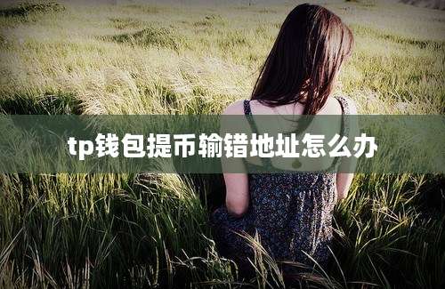 tp钱包提币输错地址怎么办