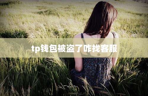 tp钱包被盗了咋找客服
