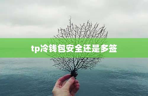 tp冷钱包安全还是多签