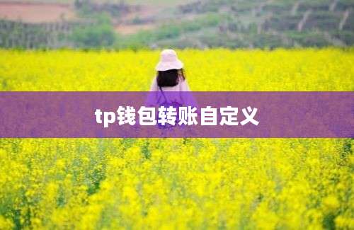 tp钱包转账自定义