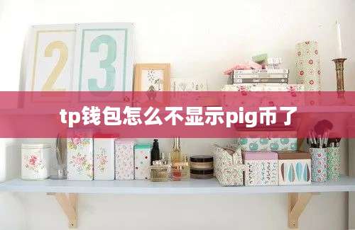 tp钱包怎么不显示pig币了