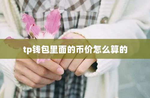 tp钱包里面的币价怎么算的