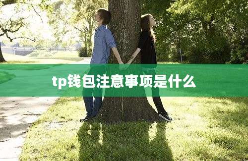 tp钱包注意事项是什么