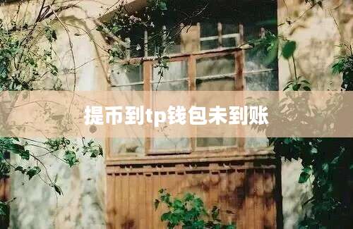 提币到tp钱包未到账