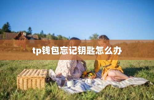tp钱包忘记钥匙怎么办