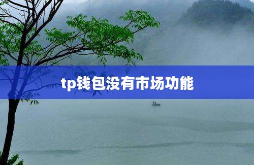 tp钱包没有市场功能