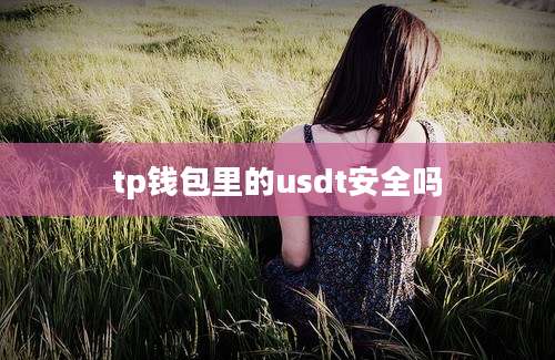 tp钱包里的usdt安全吗