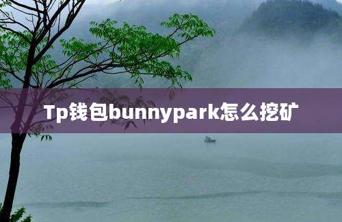 Tp钱包bunnypark怎么挖矿