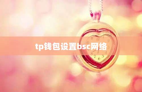 tp钱包设置bsc网络
