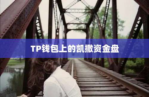 TP钱包上的凯撒资金盘