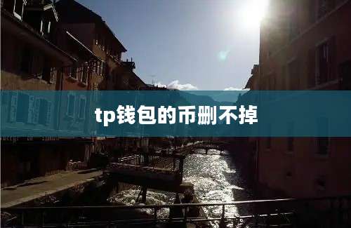tp钱包的币删不掉