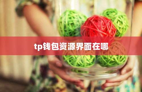 tp钱包资源界面在哪