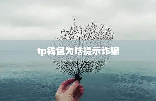 tp钱包为啥提示诈骗