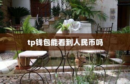 tp钱包能看到人民币吗