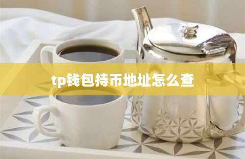 tp钱包持币地址怎么查