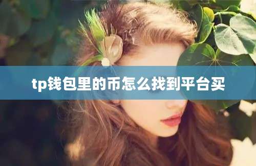 tp钱包里的币怎么找到平台买