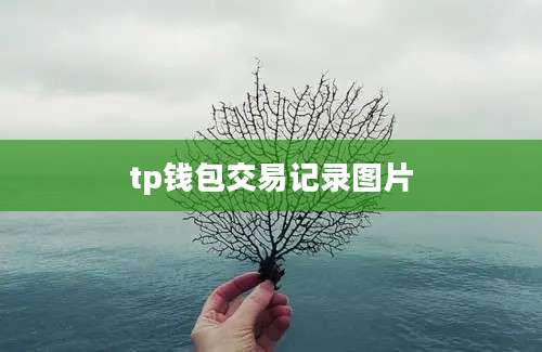 tp钱包交易记录图片