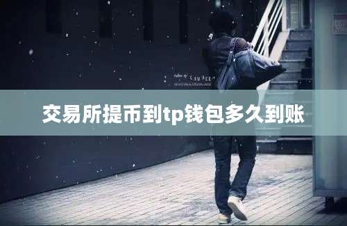 交易所提币到tp钱包多久到账