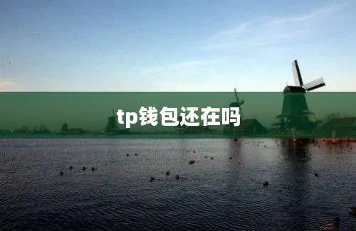 tp钱包还在吗