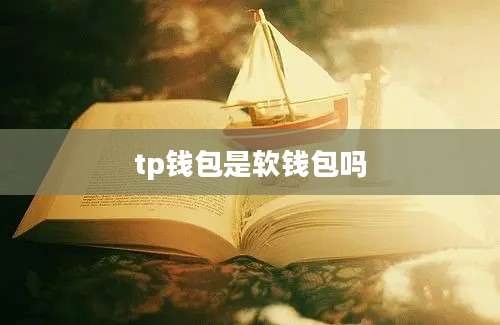 tp钱包是软钱包吗