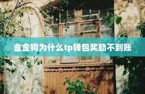 金金狗为什么tp钱包奖励不到账