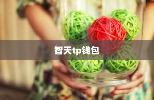 智天tp钱包