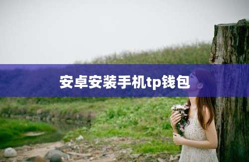 安卓安装手机tp钱包