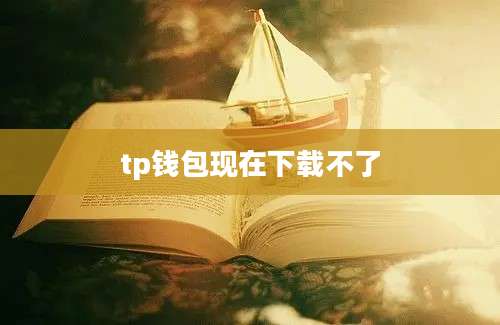 tp钱包现在下载不了