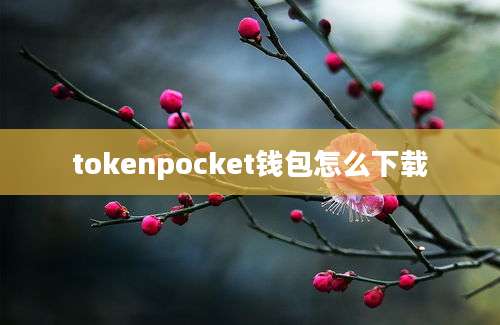 tokenpocket钱包怎么下载