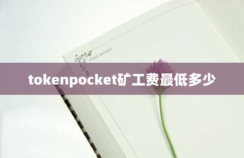 tokenpocket矿工费最低多少