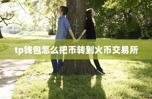 tp钱包怎么把币转到火币交易所