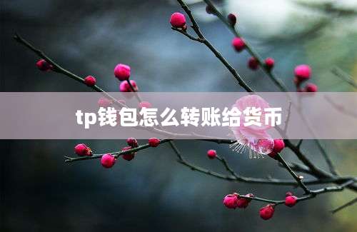 tp钱包怎么转账给货币