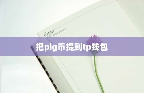 把pig币提到tp钱包
