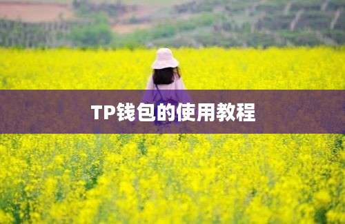 TP钱包的使用教程