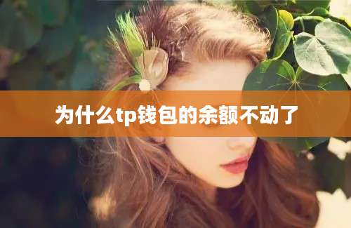 为什么tp钱包的余额不动了