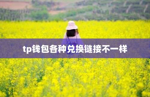 tp钱包各种兑换链接不一样