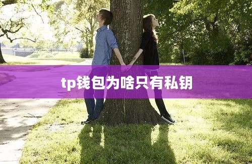 tp钱包为啥只有私钥