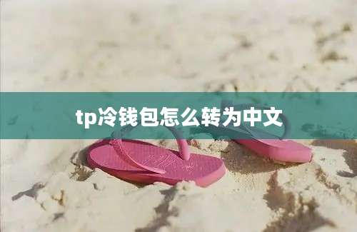 tp冷钱包怎么转为中文