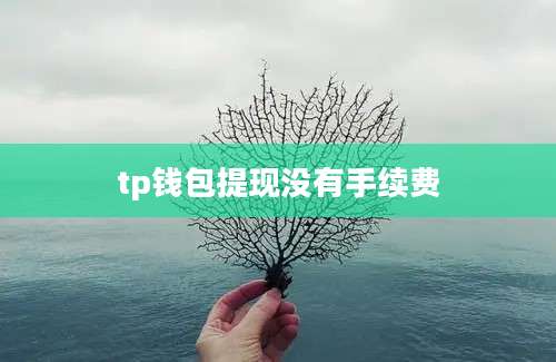 tp钱包提现没有手续费