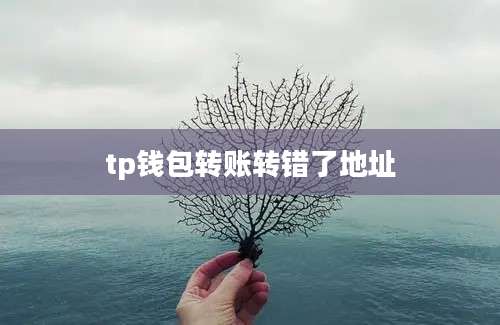 tp钱包转账转错了地址