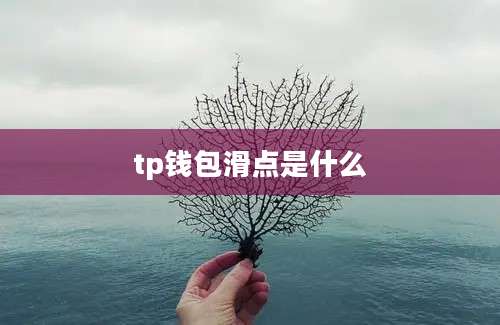 tp钱包滑点是什么